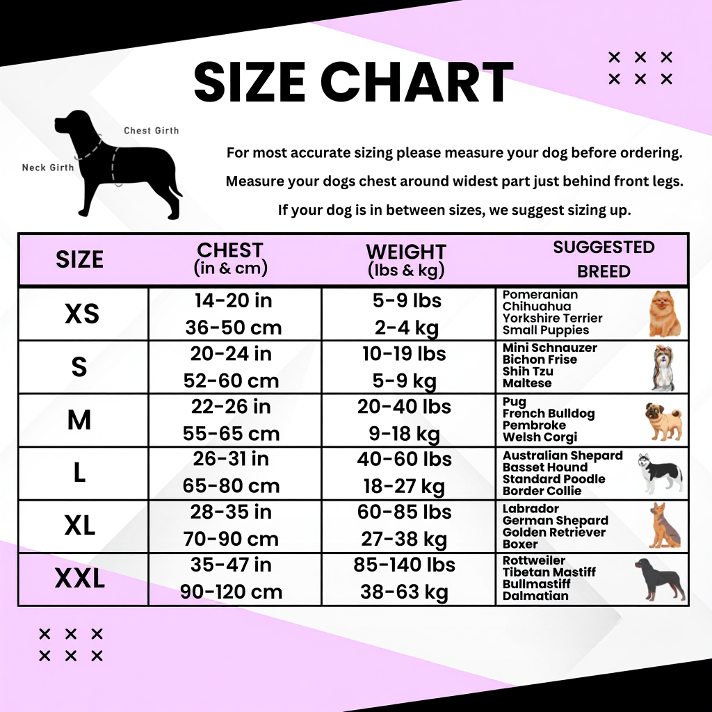 Personalized No Pull Dog Harness