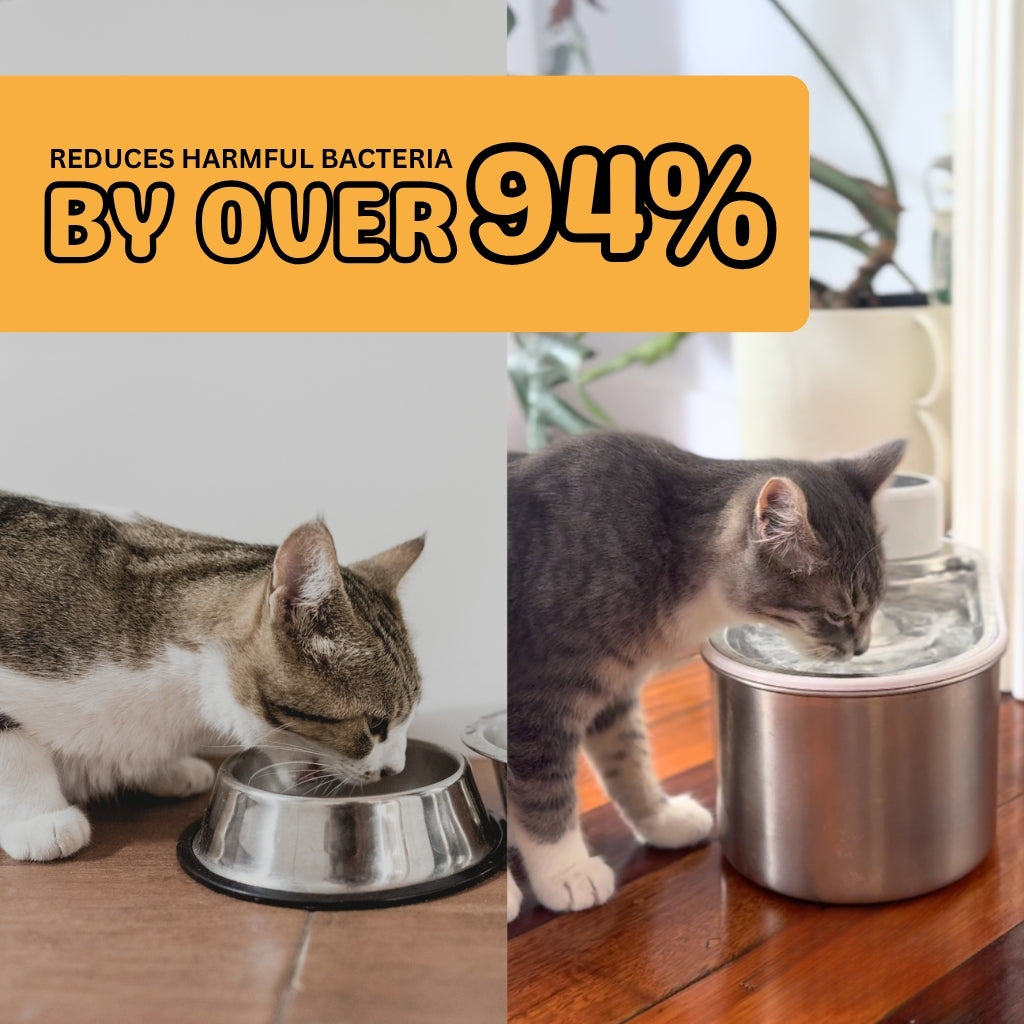 PekoPets® AquaFlow Cat Water Fountain – 3L Filtered & Cordless