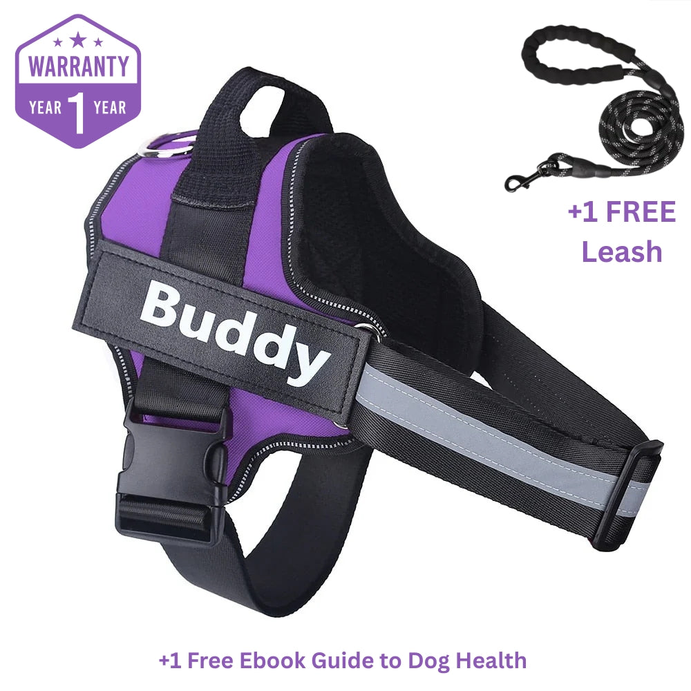 Personalized No Pull Dog Harness