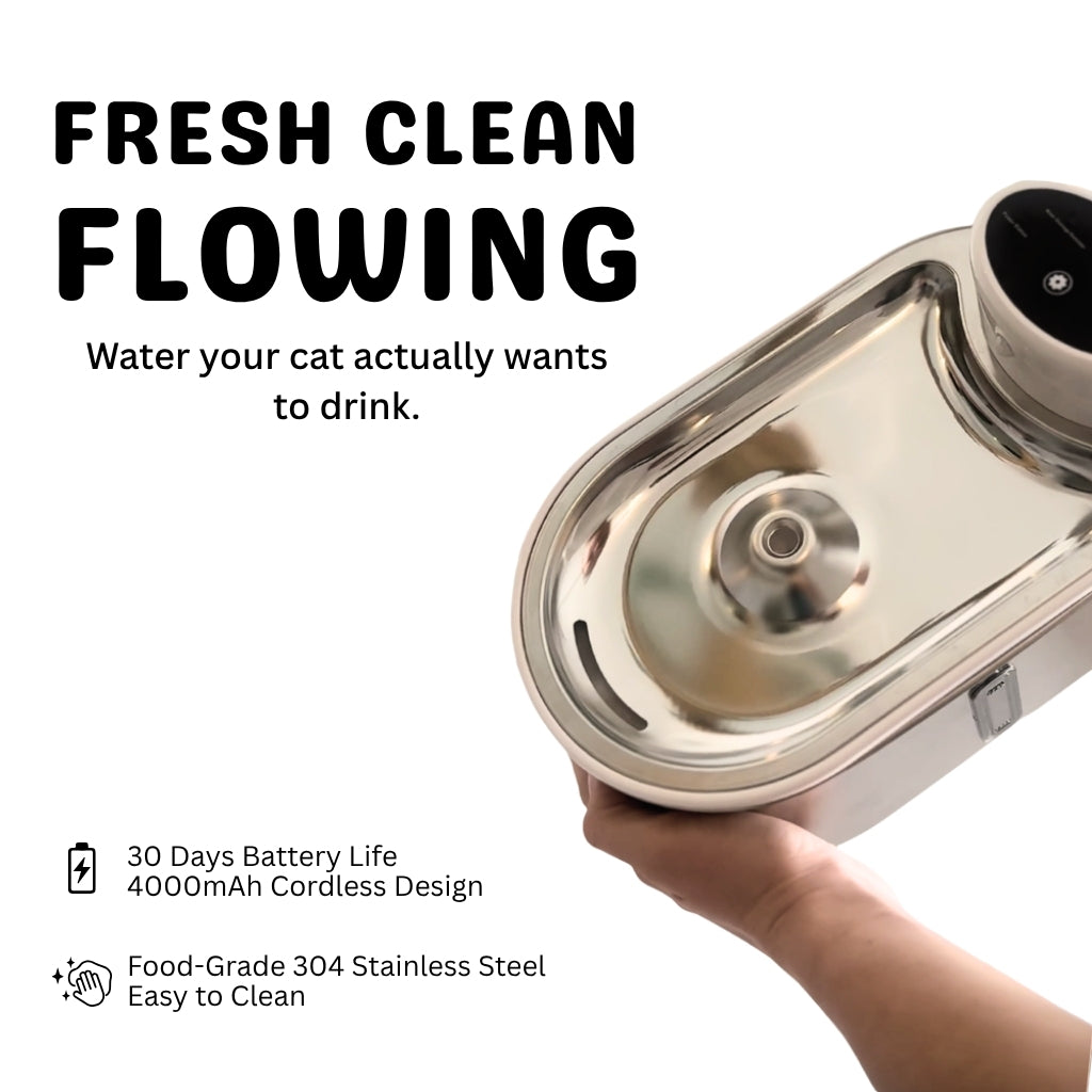PekoPets® AquaFlow Cat Water Fountain – 3L Filtered & Cordless