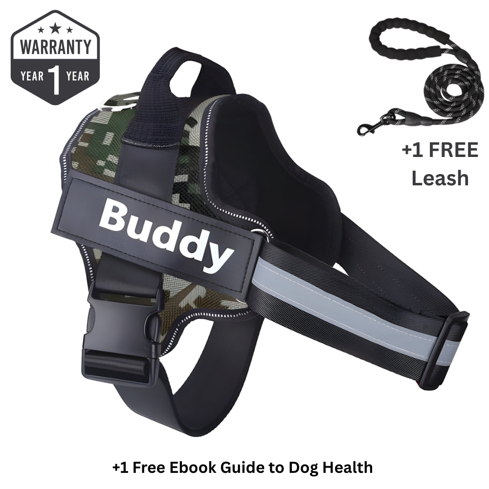Personalized No Pull Dog Harness