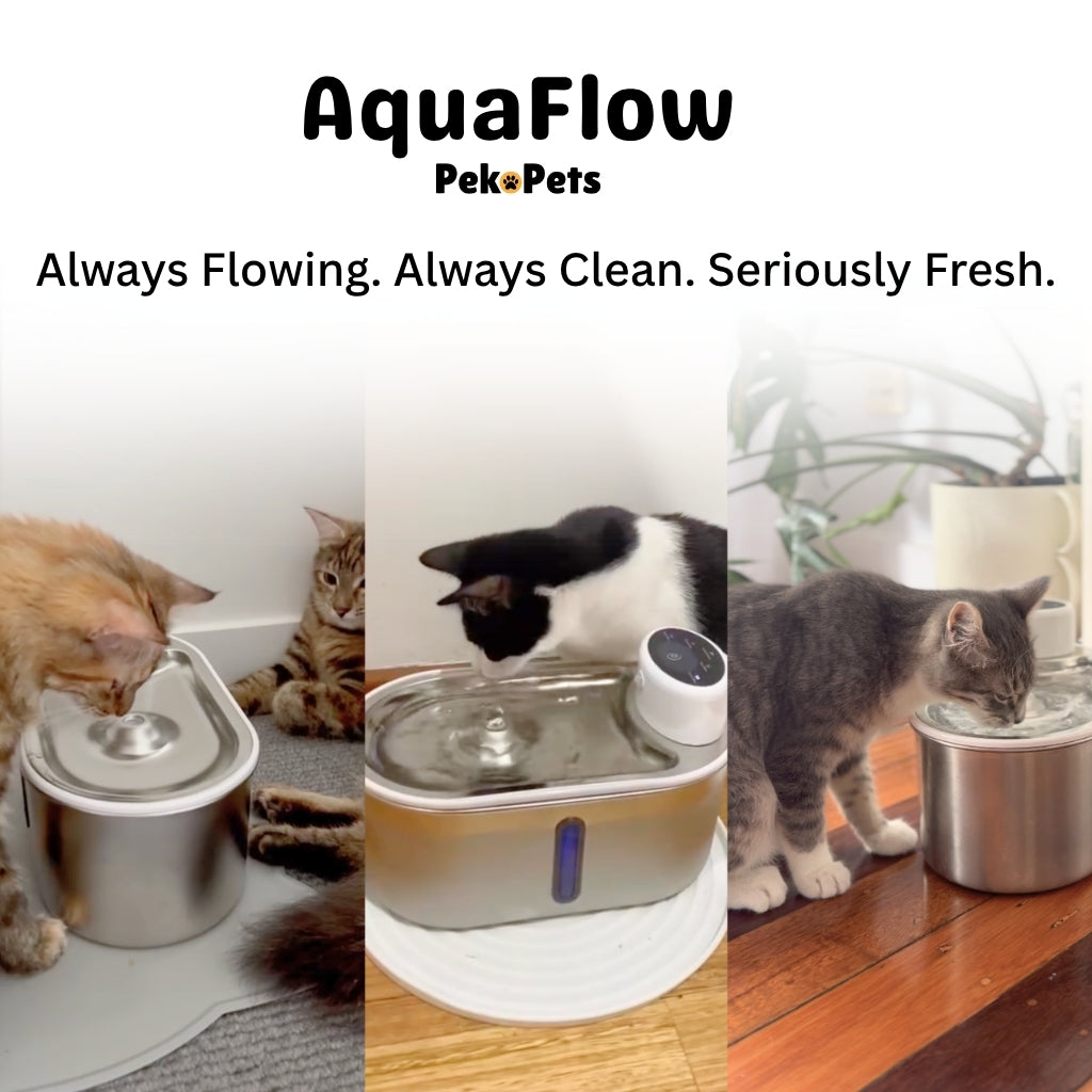 PekoPets® AquaFlow Cat Water Fountain – 3L Filtered & Cordless