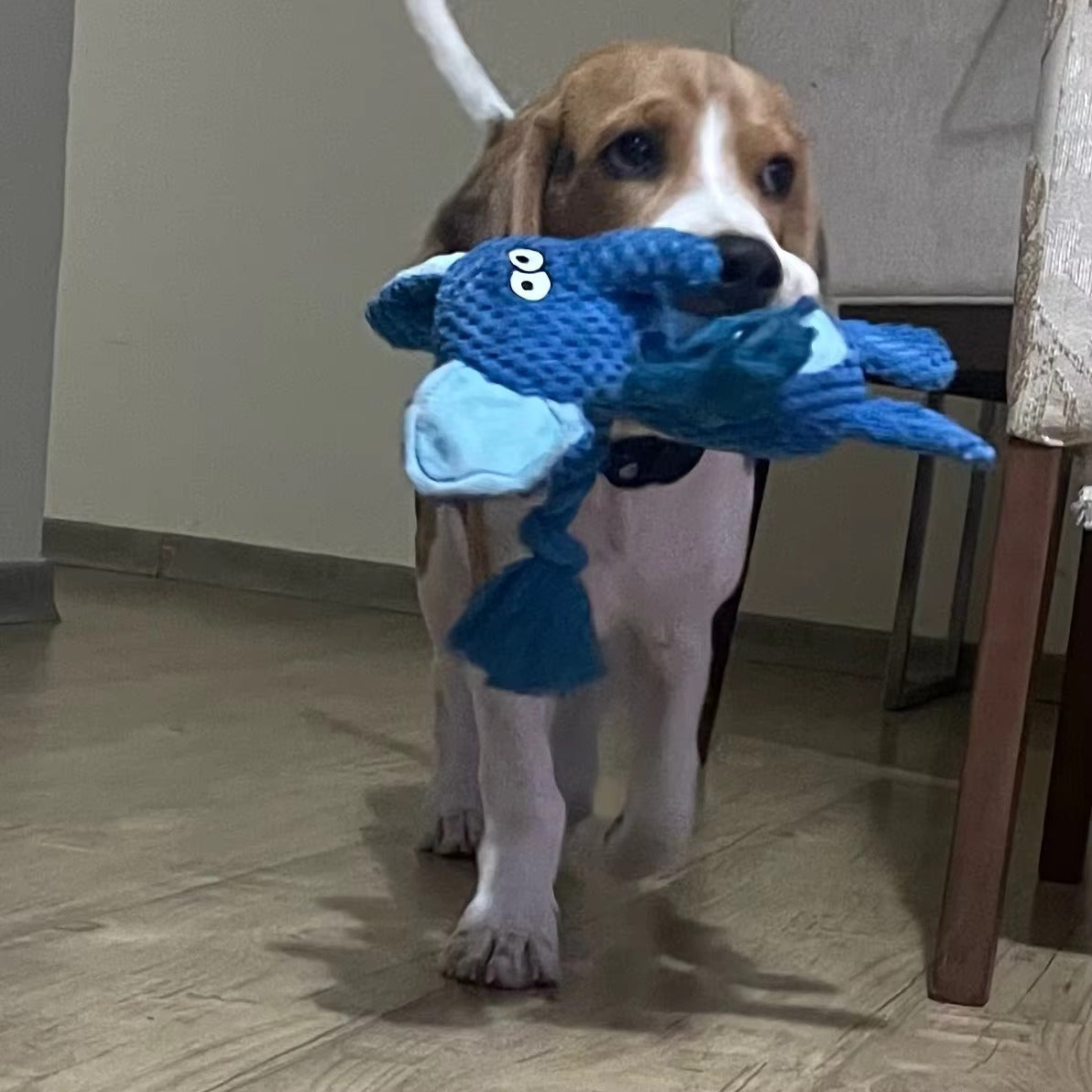 ChewAnimal™- Designed for Strong Chewers
