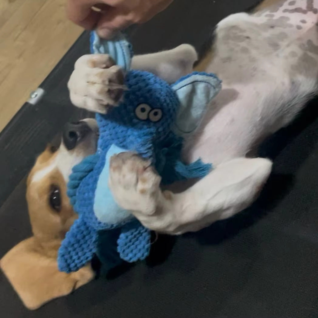 ChewAnimal™- Designed for Strong Chewers