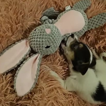 ChewAnimal™- Designed for Strong Chewers