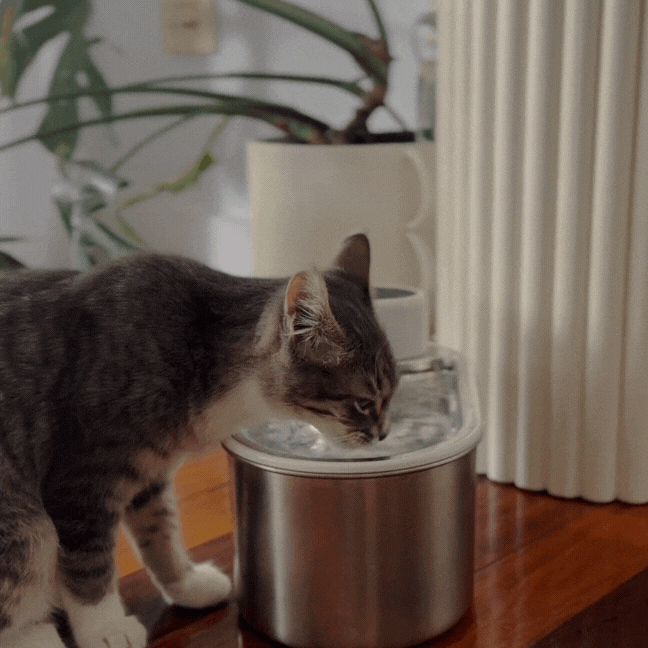 PekoPets® AquaFlow Cat Water Fountain – 3L Filtered & Cordless