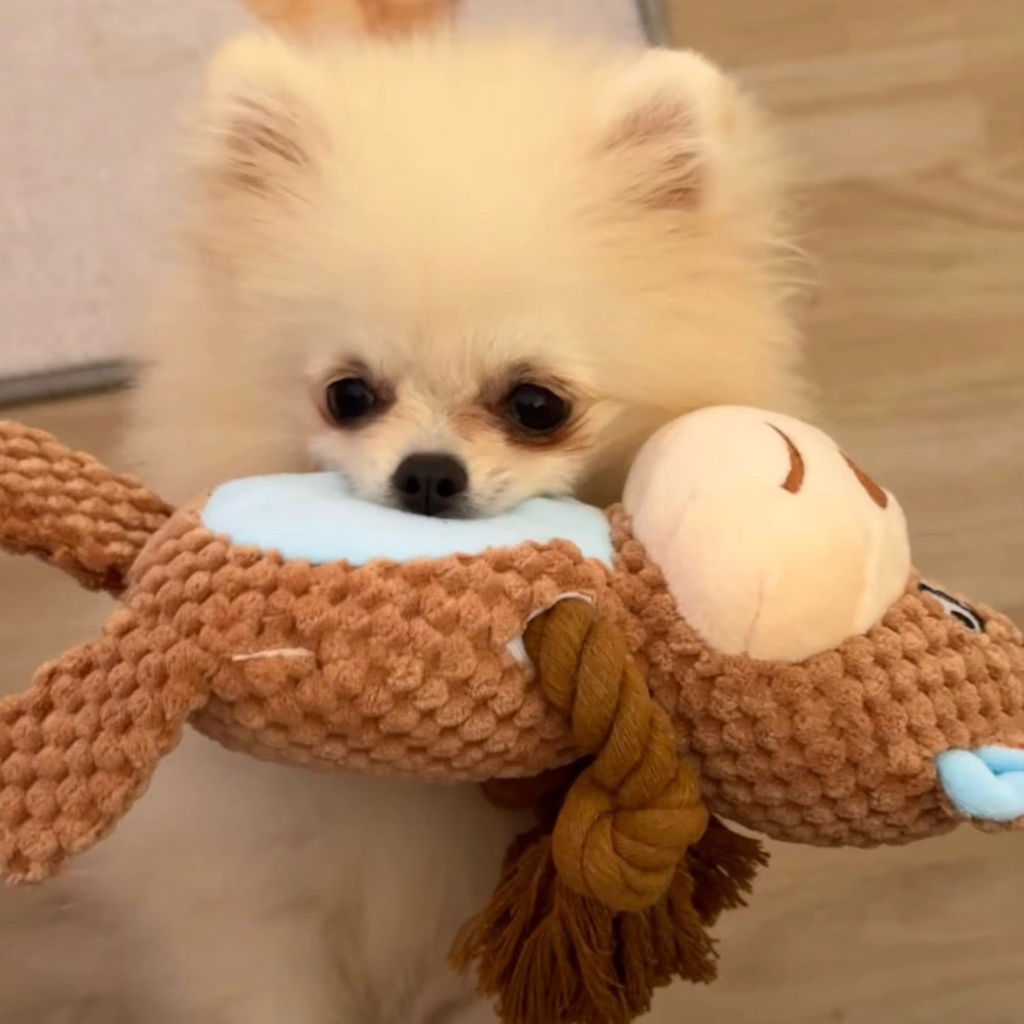 ChewAnimal™- Designed for Strong Chewers