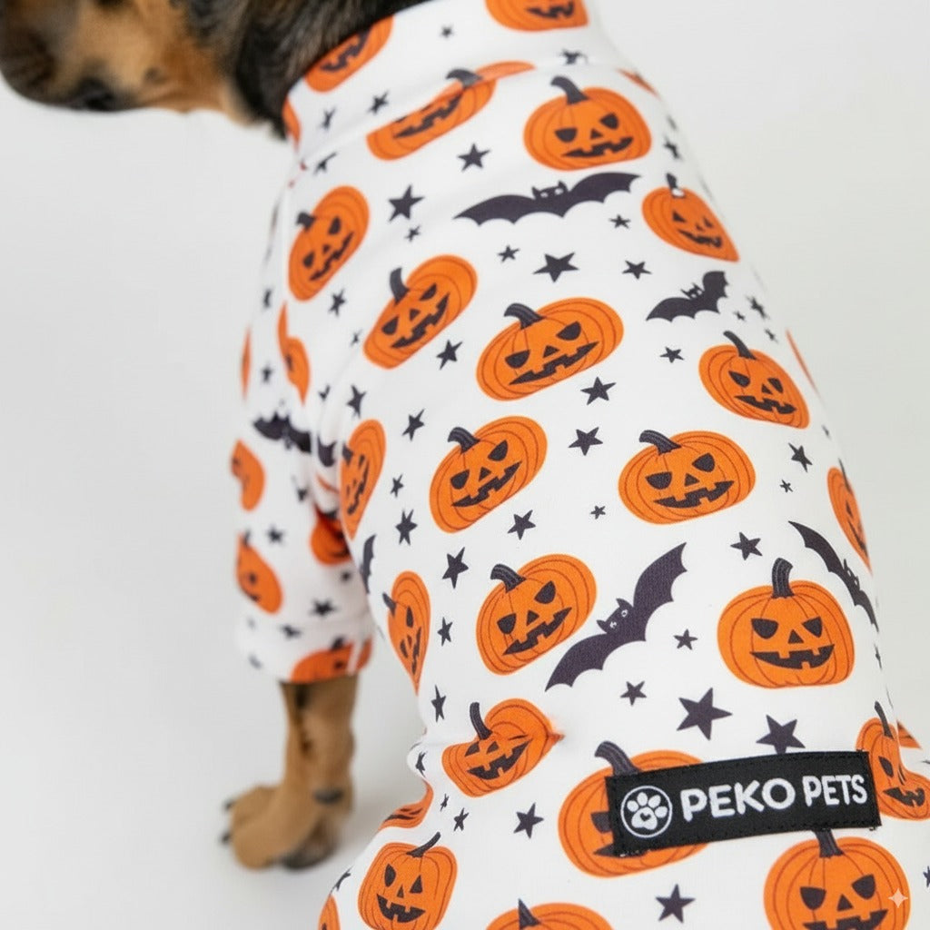 Halloween Dog Pajama (Limited Edition)