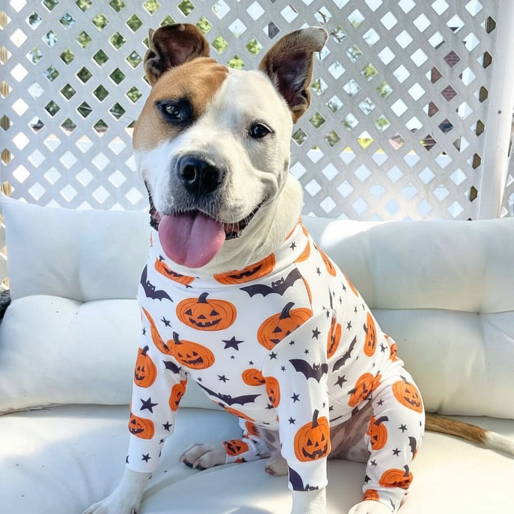 Halloween Dog Pajama (Limited Edition)