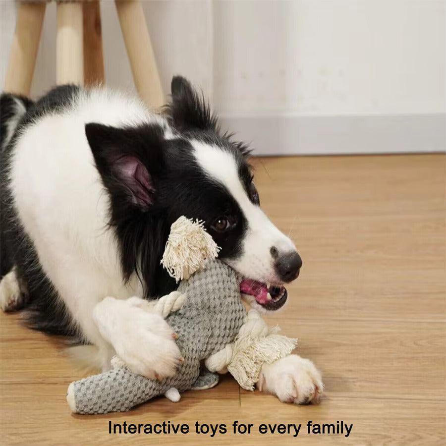 ChewAnimal™- Designed for Strong Chewers