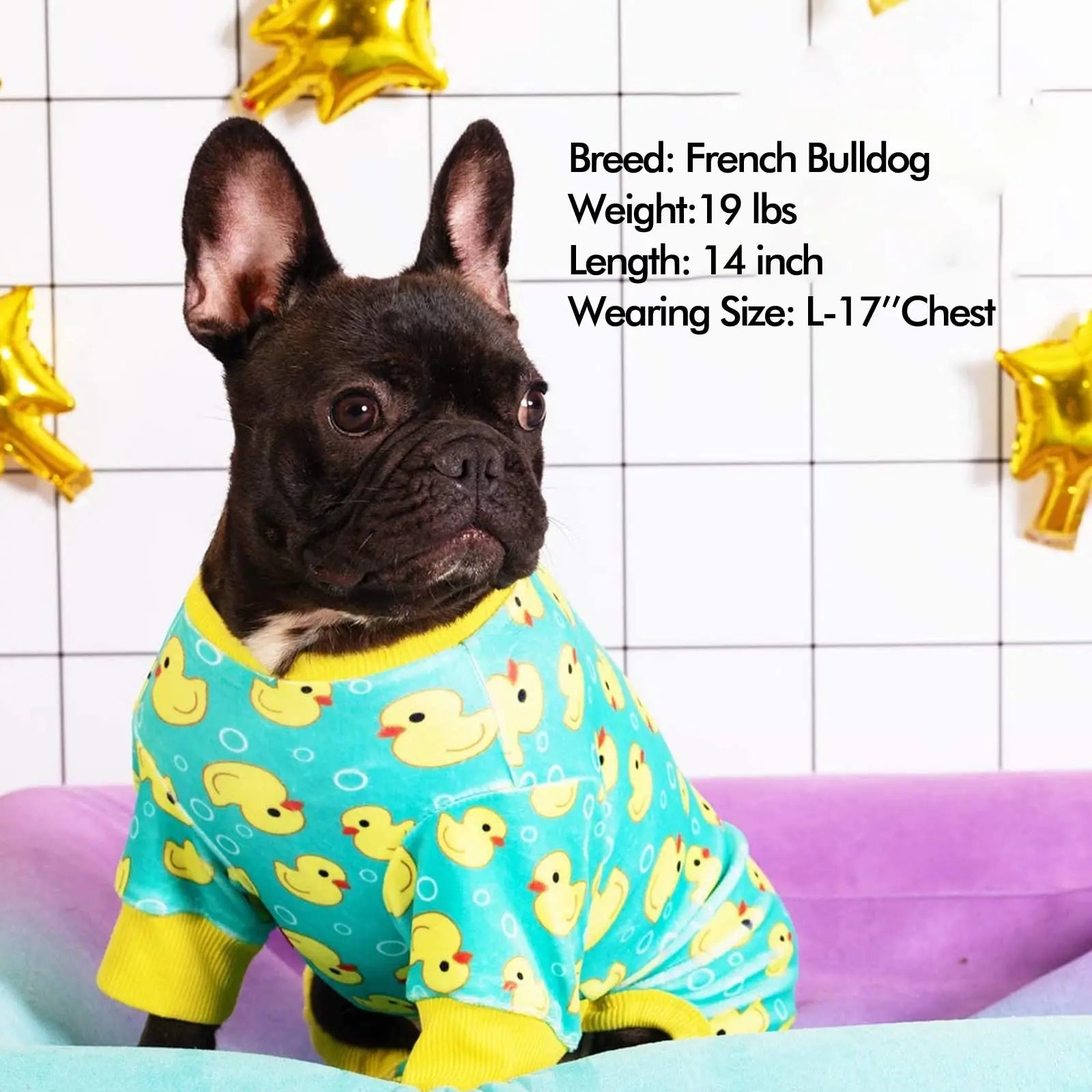 Dog Pajama - Ducky Dream