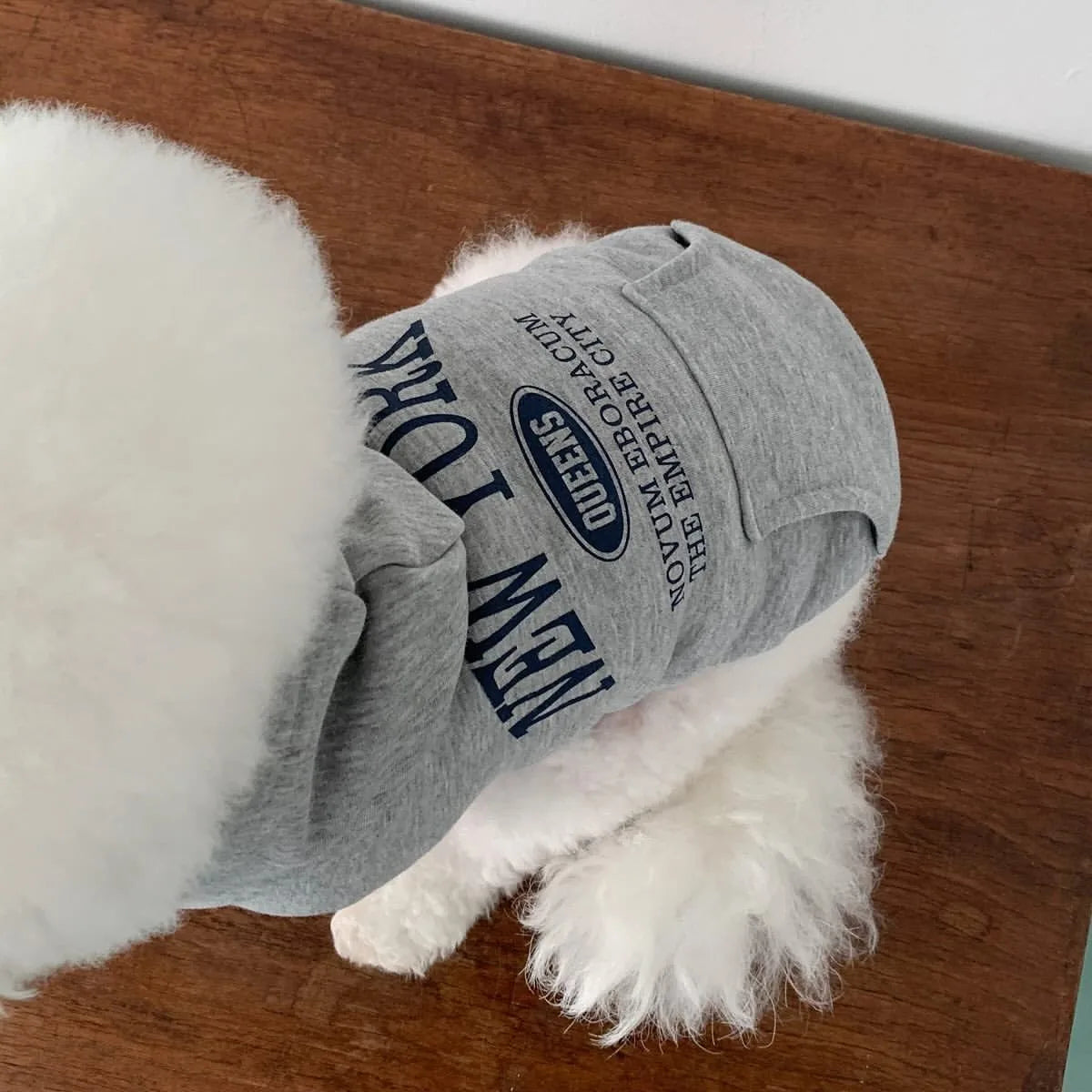 Dog Hoodie - Empire Pup City