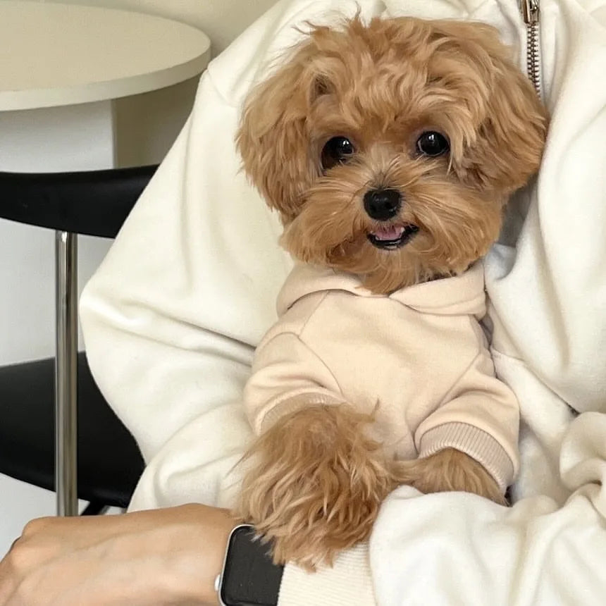 Dog Hoodie - Empire Pup City