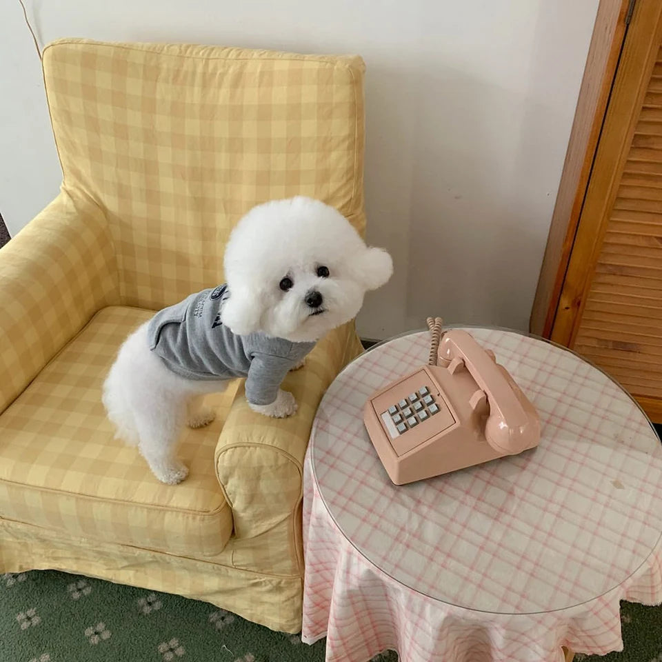 Dog Hoodie - Empire Pup City