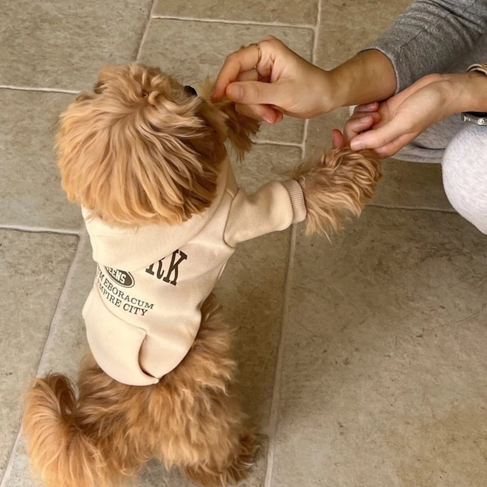 Dog Hoodie - Empire Pup City