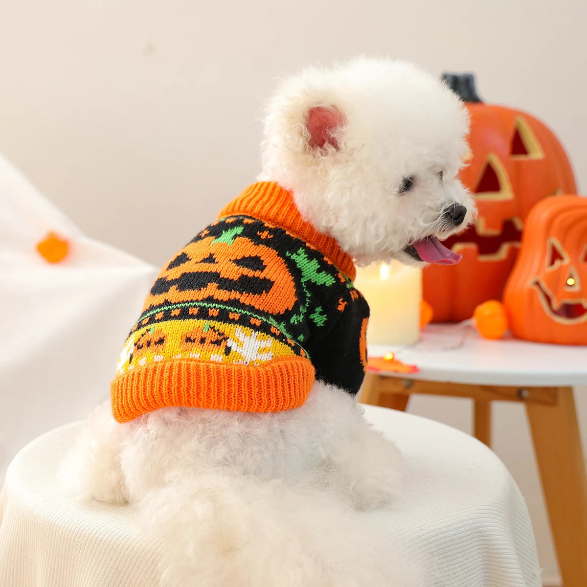 Halloween Dog Sweater (Limited Edition)