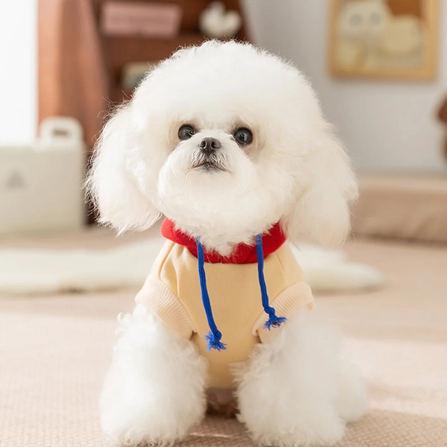 Dog Hoodies - Happy Trails