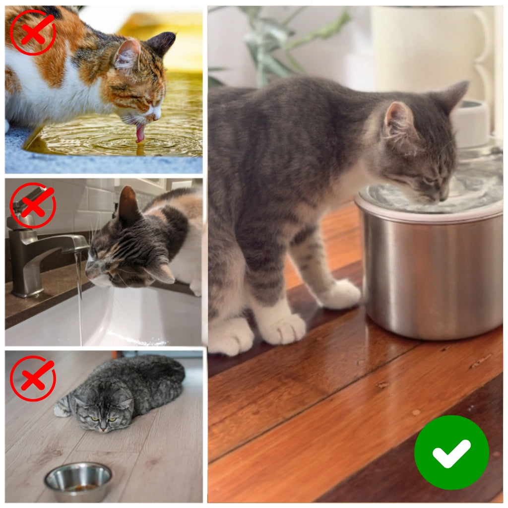 PekoPets® AquaFlow Cat Water Fountain – 3L Filtered & Cordless