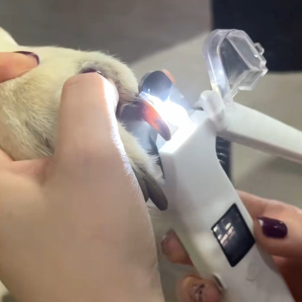 PekoPets™ 2-in-1 LED ProGroom Nail Clipper & Grinder