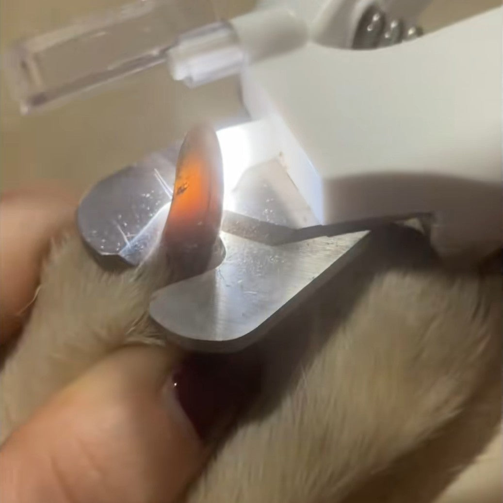 PekoPets™ 2-in-1 LED ProGroom Nail Clipper & Grinder