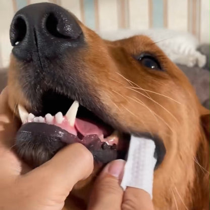 PekoFresh™ Dental Finger Wipes - 2 Month Supply