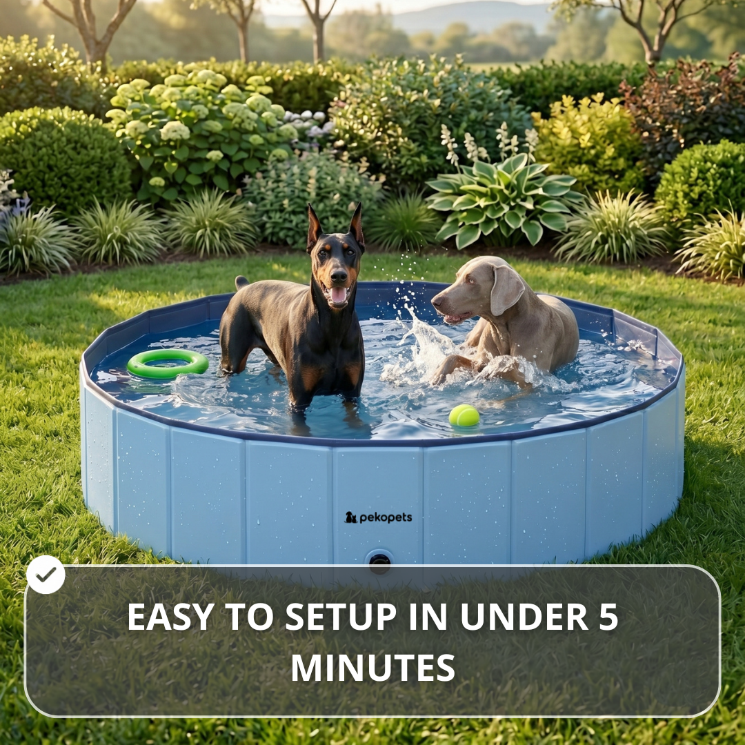 PekoPets™ Foldable Dog Pool