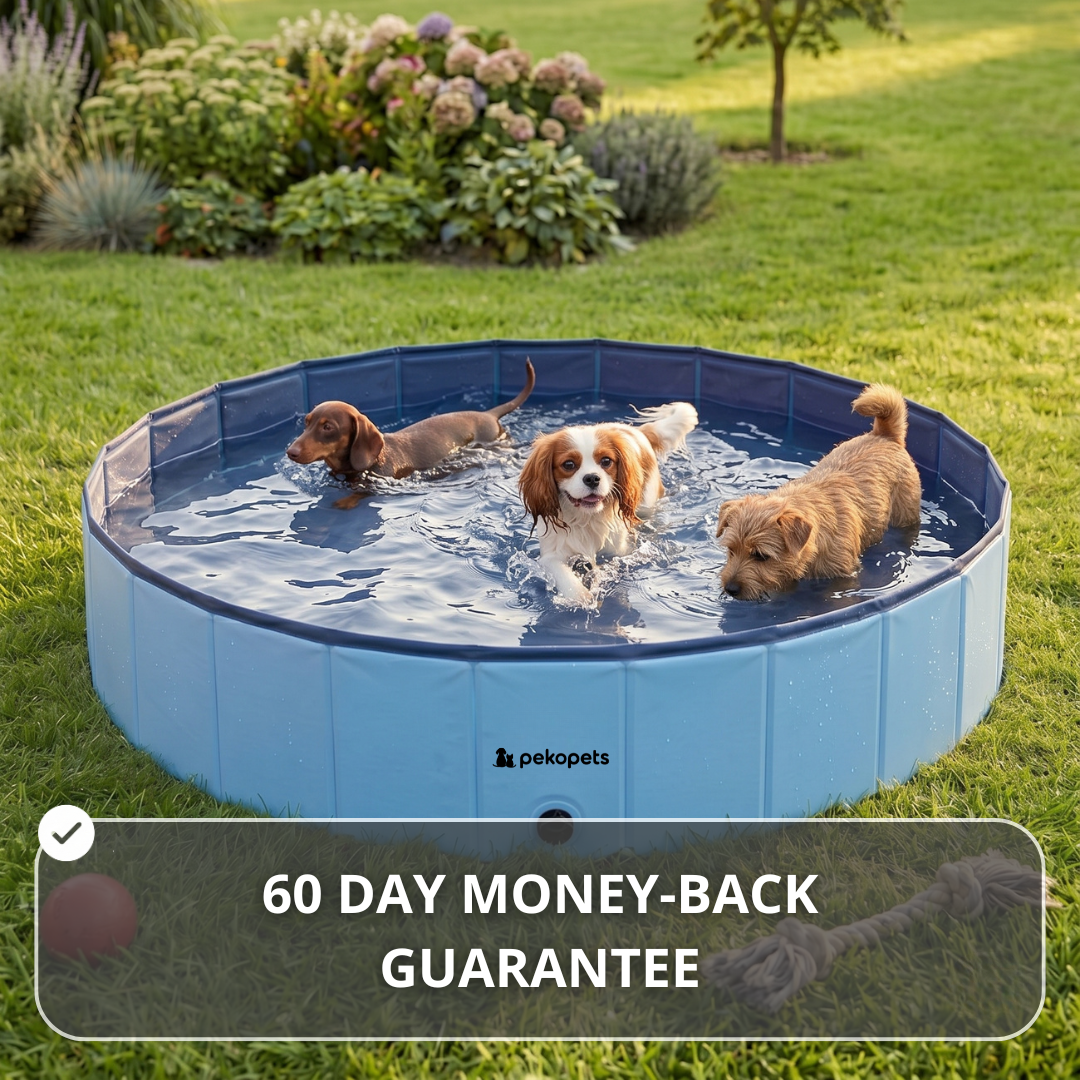 PekoPets™ Foldable Dog Pool