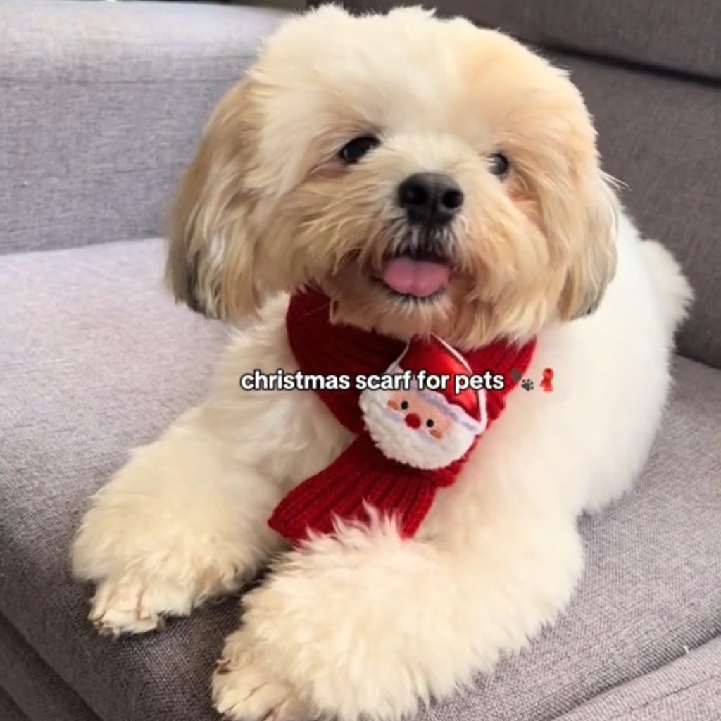 Festive Friends Knit Scarf