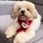 Festive Friends Knit Scarf