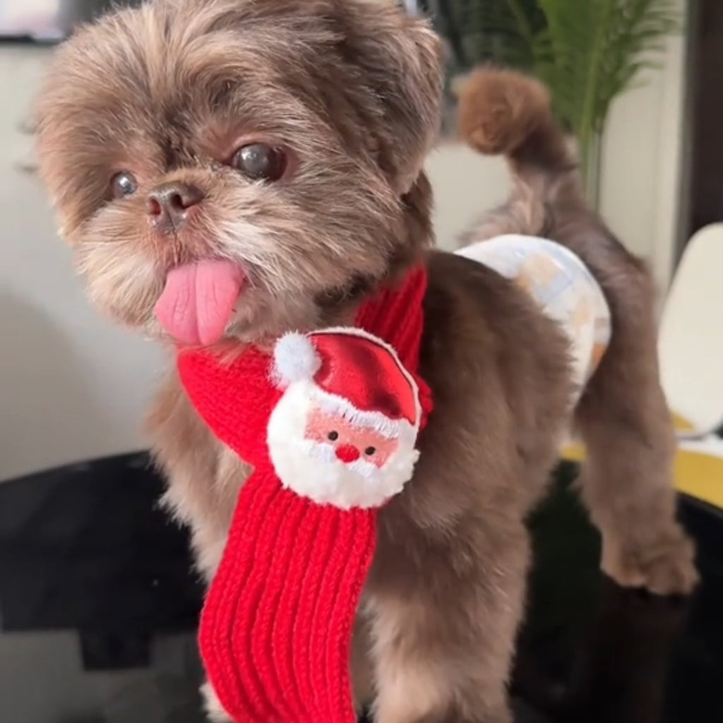 Festive Friends Knit Scarf