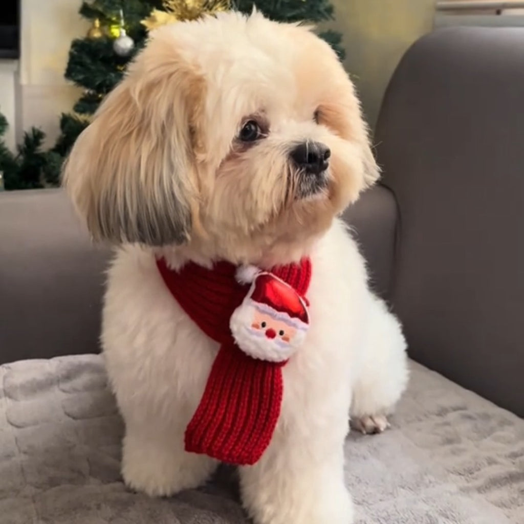 Festive Friends Knit Scarf