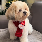 Festive Friends Knit Scarf