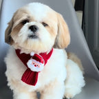 Festive Friends Knit Scarf