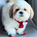 Festive Friends Knit Scarf