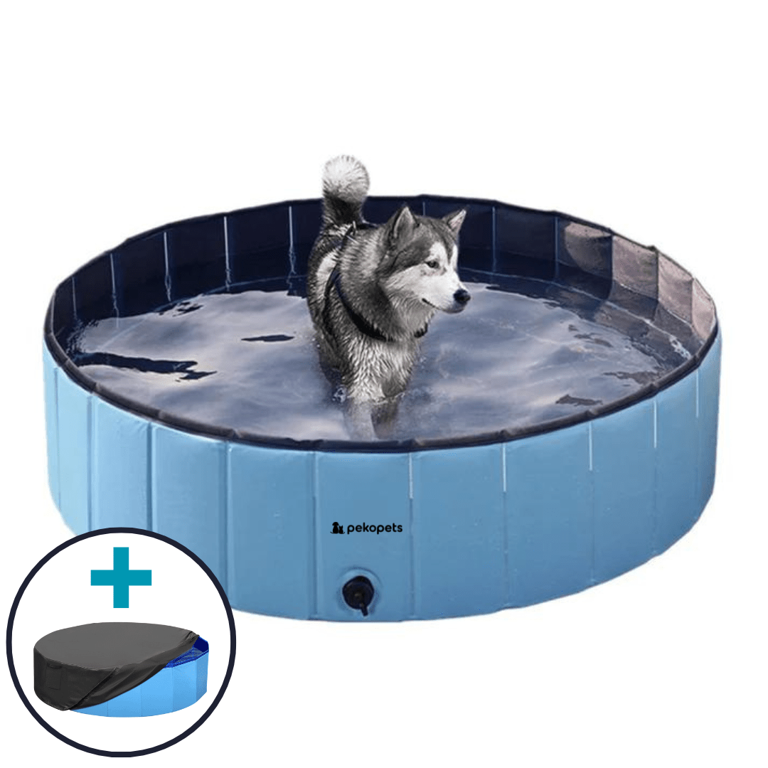 PekoPets™ Foldable Dog Pool