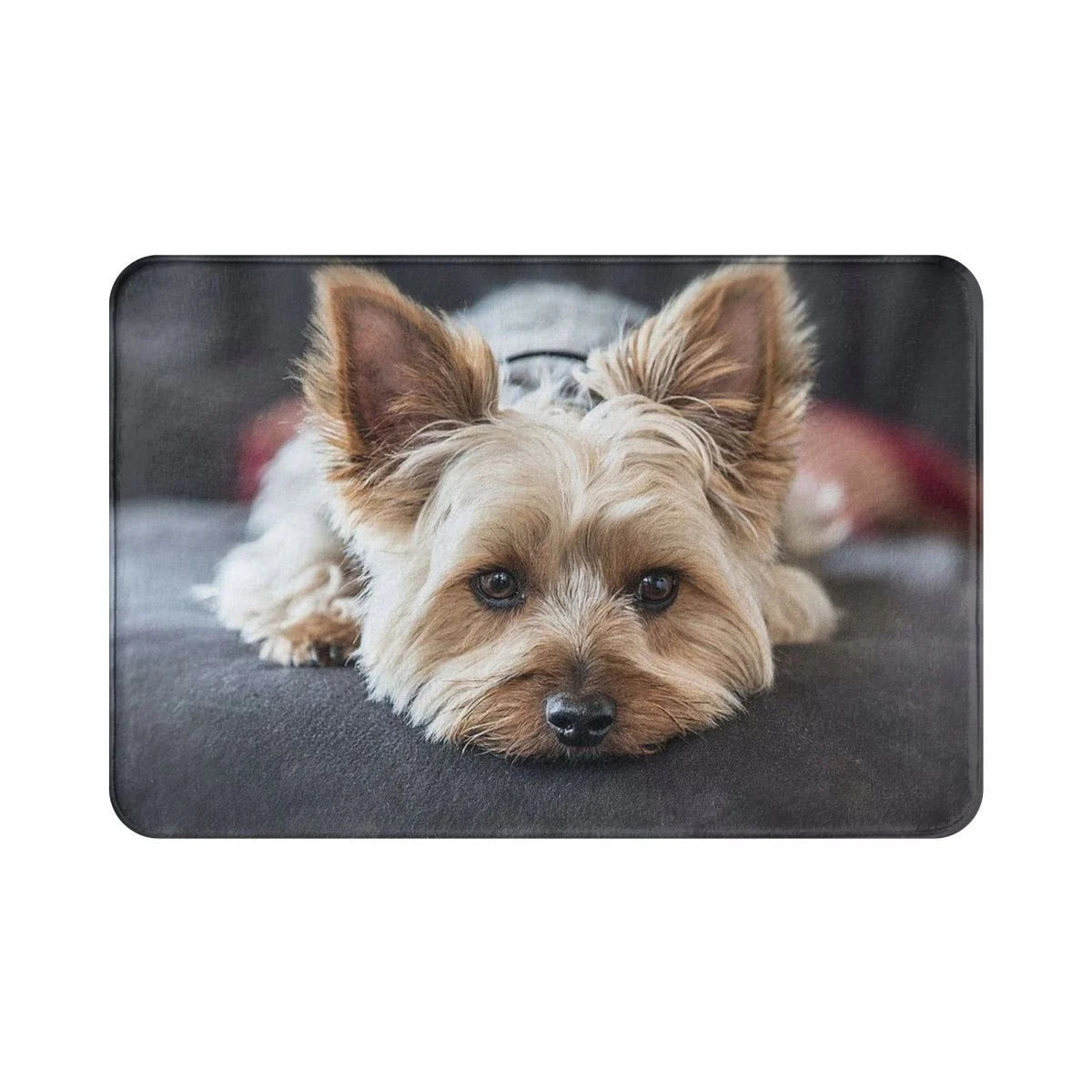 Charming Yorkie Mat: Non-Slip Bathroom + Entrance Rug