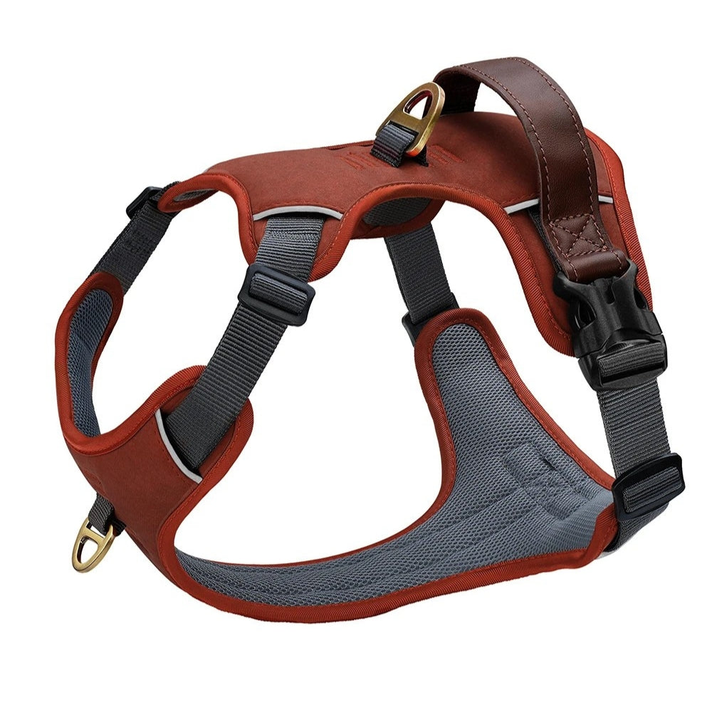Adventure Harness
