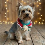 Twinkle Star Christmas Bib