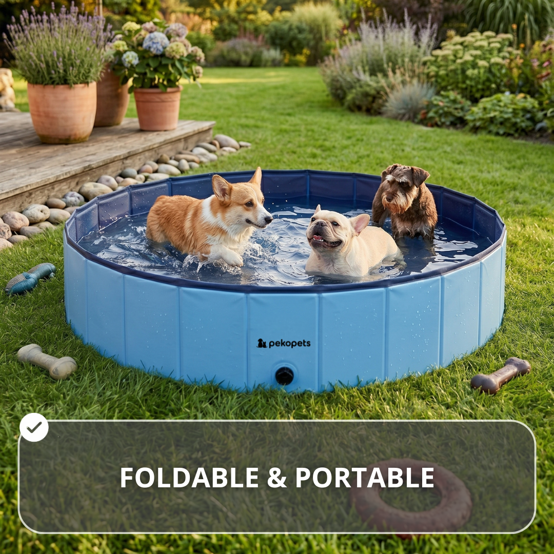 PekoPets™ Foldable Dog Pool