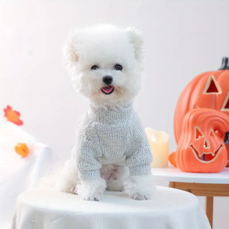 Halloween Dog Sweater - Boo Babe
