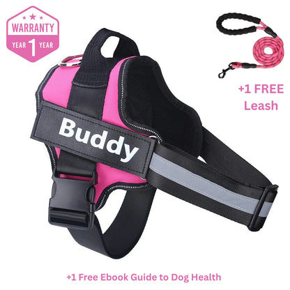 Personalized No Pull Dog Harness