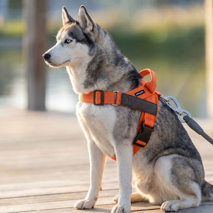 PekoPets™ CustomFit Dog Harness