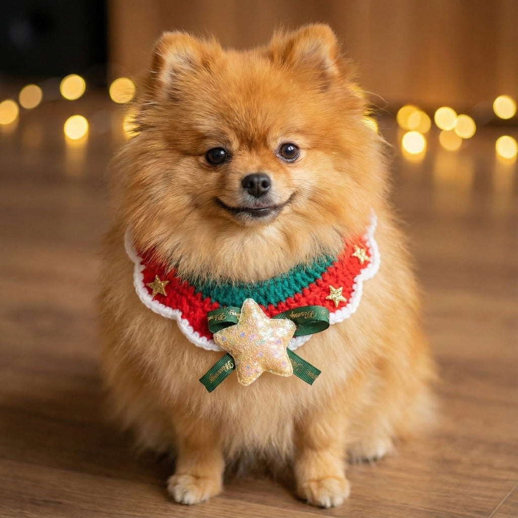 Twinkle Star Christmas Bib