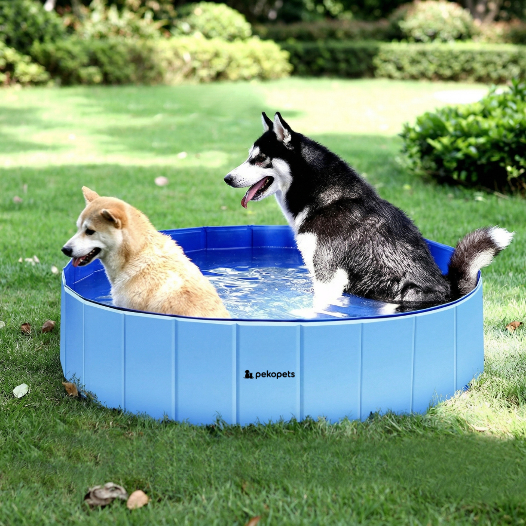 PekoPets™ Foldable Dog Pool