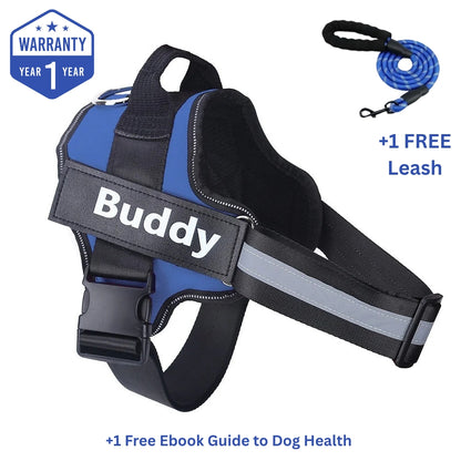 Personalized No Pull Dog Harness