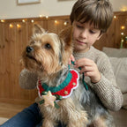 Twinkle Star Christmas Bib