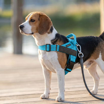 PekoPets™ CustomFit Dog Harness