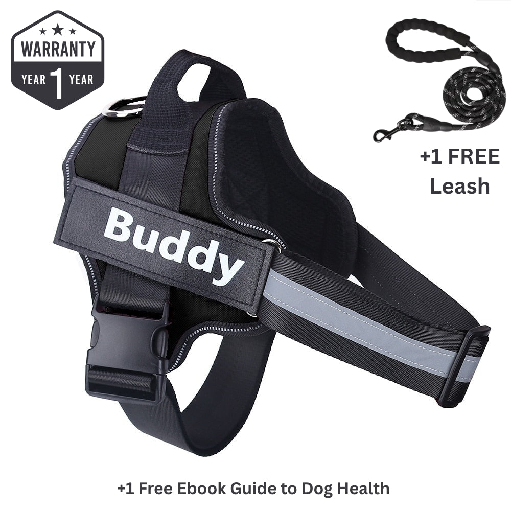 Personalized No Pull Dog Harness