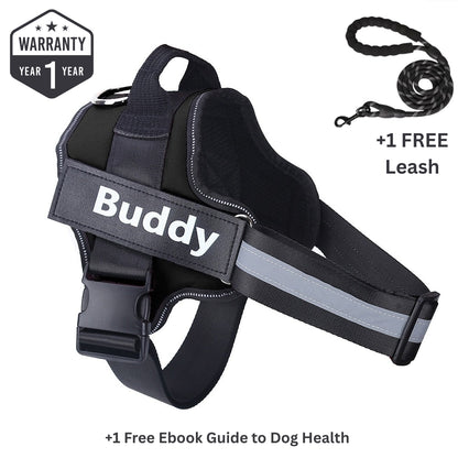 Personalized No Pull Dog Harness