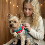 Twinkle Star Christmas Bib